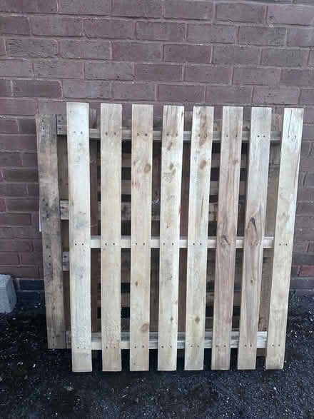 Photo of free Two pallets (Marston Jabbett CV11) #1