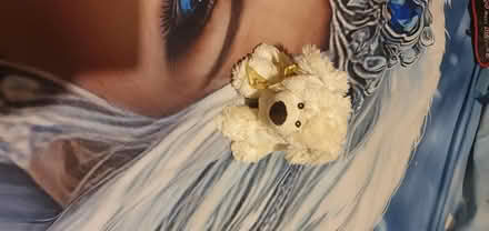 Photo of free Teddies (Flintshire CH5) #4