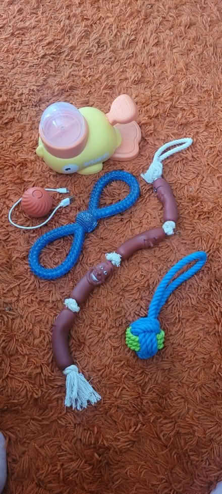 Photo of free Dog toys (Horsforth LS18) #1