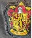 Photo of Gryffindor Robe (Central Park) #2