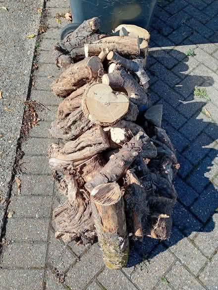 Photo of free Fire wood (LU7, Bossard Court) #1