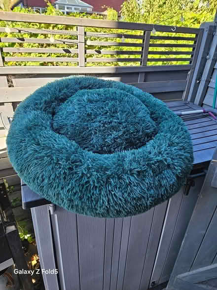 Photo of free Large dogs bed (76 spences lane lewes) #1