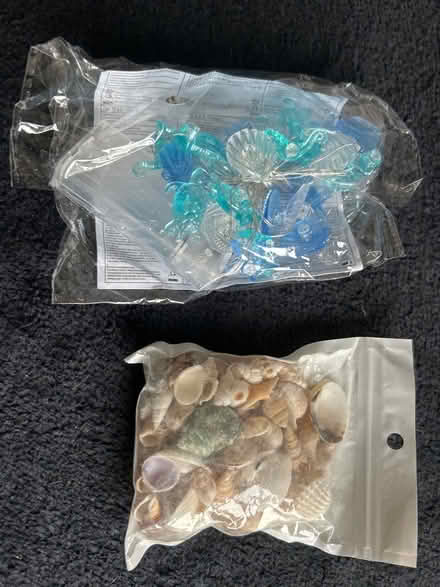 Photo of free Sea shells and sea themed string of lights (Plumpton CA11) #1
