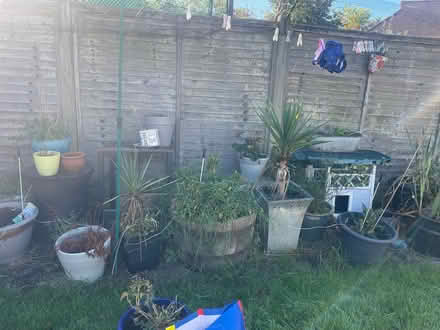 Photo of free Garden pots and plants (TN48LB) #1