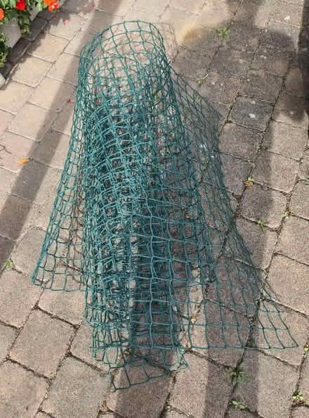 Photo of free Green plastic garden netting (Aldrington BN3) #1