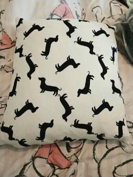 Photo of free Two cushions (Bellingham SE6) #1