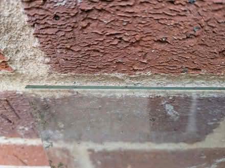 Photo of free Pane of Horticultural Glass (Cannon Park CV4) #2