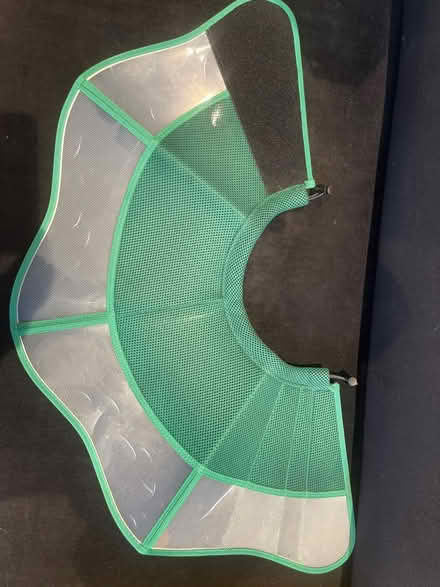 Photo of free Dog cone to sop licking, large (Cleveland Park) #1