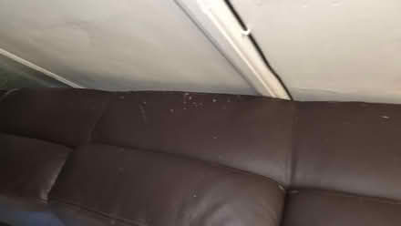 Photo of free Sofa (St Leonards-on-Sea TN37) #4