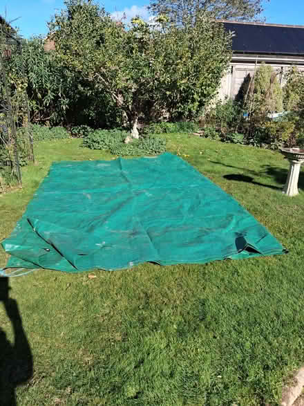 Photo of free Green Plastic Sheet (Tenterden TN30) #1
