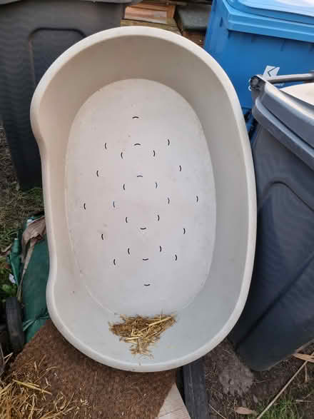 Photo of free Very large dog bed (Huyton) #1