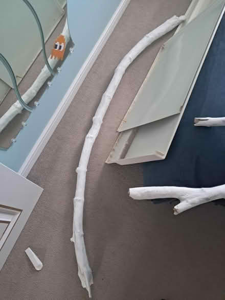 Photo of free White branches for DIY (Westhampnett PO18) #3