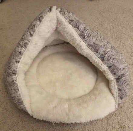 Photo of free Cat (dog?) bed (Bernardo & Iowa, Sunnyvale) #2