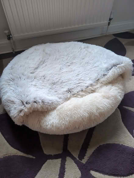 Photo of free Medium dog bed (Woodley RG5) #1