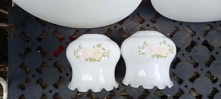 Photo of free Ceiling light shades and glass lamp shades (Pant SY10) #1
