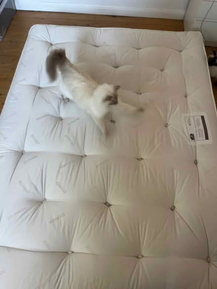 Photo of free King size mattress (Sw11) #1