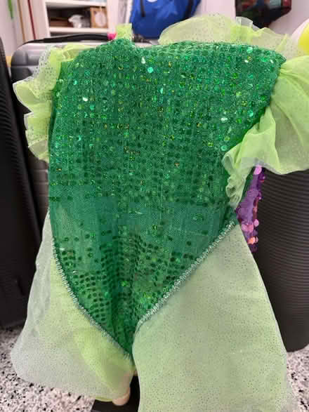 Photo of free Mermaid costume (Mountain View) #2