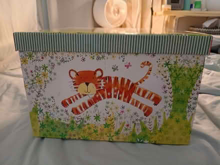 Photo of free decorative storage box, 37x37x24 cm, folds down (Boscombe BH5) #4