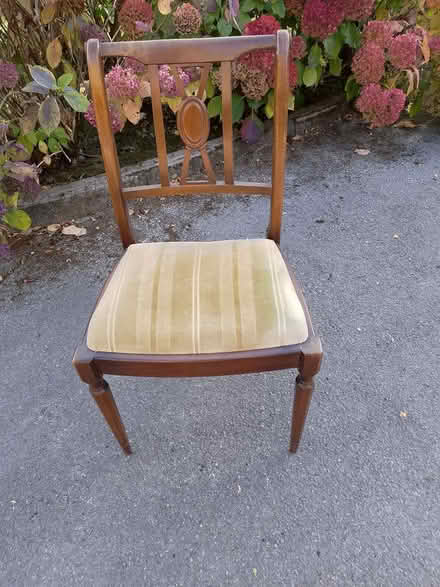 Photo of free Dining chairs x4 (Billericay CM12) #1