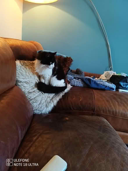 Photo of free Large brown leather corner sofa (Oxton) #2