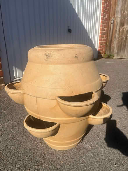 Photo of free Strawberry planter and cold frame (Woolhampton RG7) #3