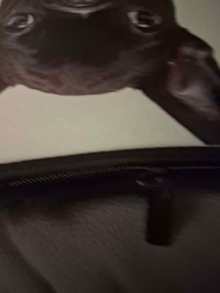 Photo of free Laptop cover (Garforth LS25) #2