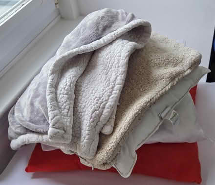 Photo of free Fleece Throw & Cushion Pads (Oxgangs EH13) #3