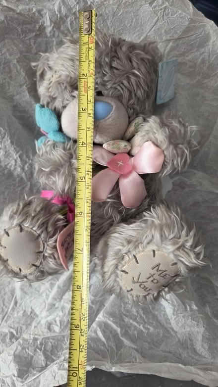 Photo of free Me to You bear (Fareham PO15) #3