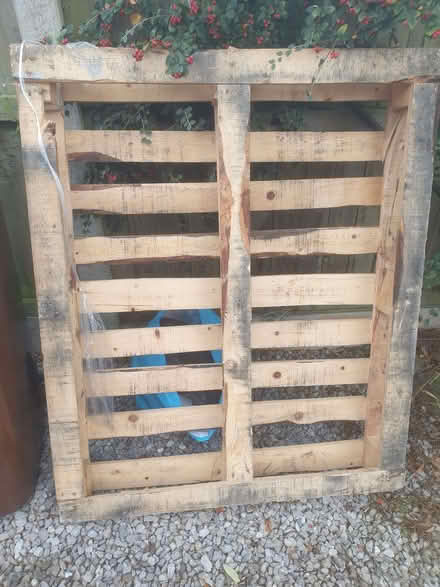 Photo of free pallet (Barlaston ST12) #1