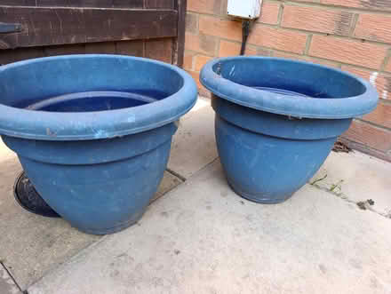 Photo of free plant pots (Dovercourt CO12) #1
