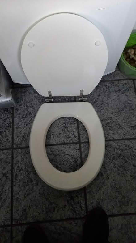 Photo of free White toilet seat (burmantofts LS9) #1