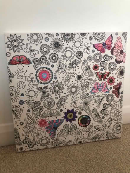 Photo of free Colouring in canvas (Whitehill SG4) #1
