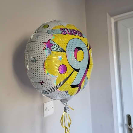 Photo of free Age 9 Balloon on weight (Fordham Heath CO3) #3