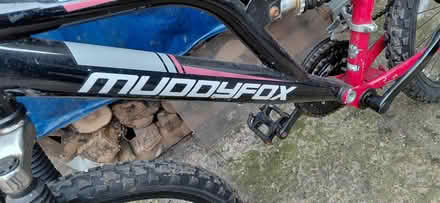 Photo of free Bike (Shelton Lock DE24) #2