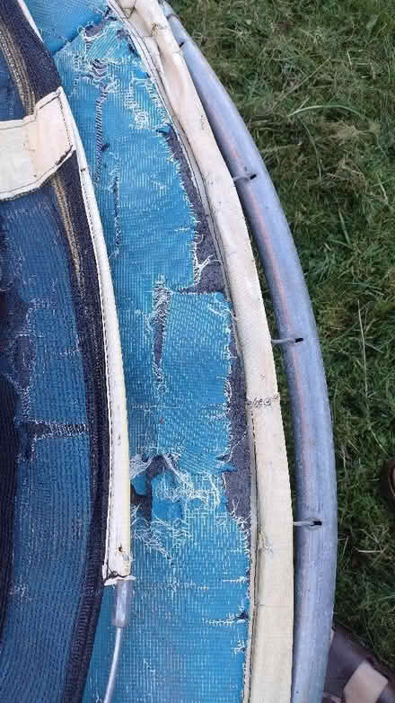 Photo of free trampoline (Linlithgow EH49) #4