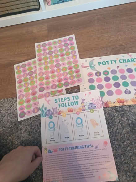 Photo of free Potty training charts (Droylsden M43) #2