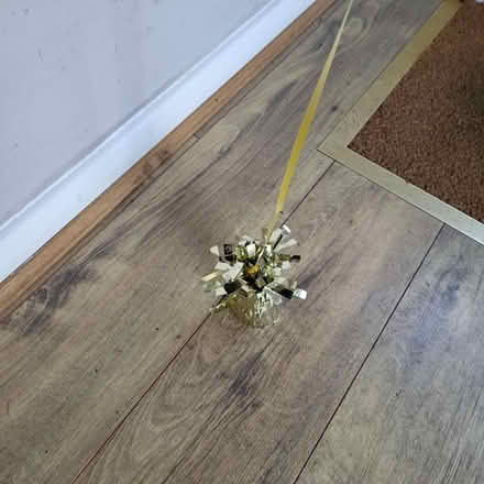 Photo of free Age 9 Balloon on weight (Fordham Heath CO3) #2