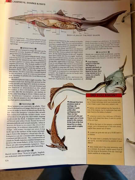 Photo of free Encyclopedia (Central Woking - GU22) #2