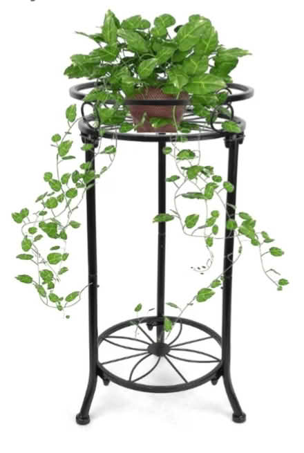 Photo of Plant stand (St Claire Gardens) #2