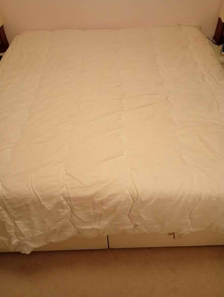 Photo of free 2 duvets - 1 single, 1 king size (Stroud GL5) #3