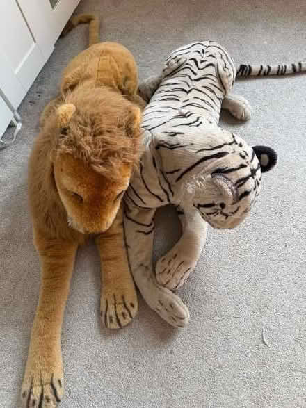 Photo of free the white tiger on right only (Moor Allerton LS17) #1