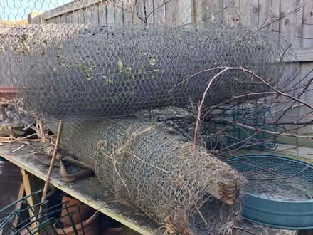 Photo of free Chicken wire netting (Beccles NR34) #1