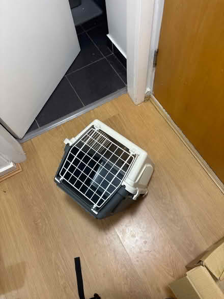 Photo of free cat transport (Wynford road N1) #1