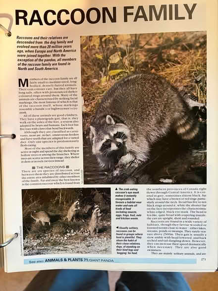 Photo of free Encyclopedia (Central Woking - GU22) #3