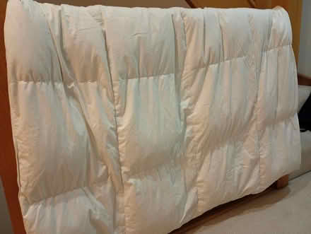 Photo of free 2 duvets - 1 single, 1 king size (Stroud GL5) #1
