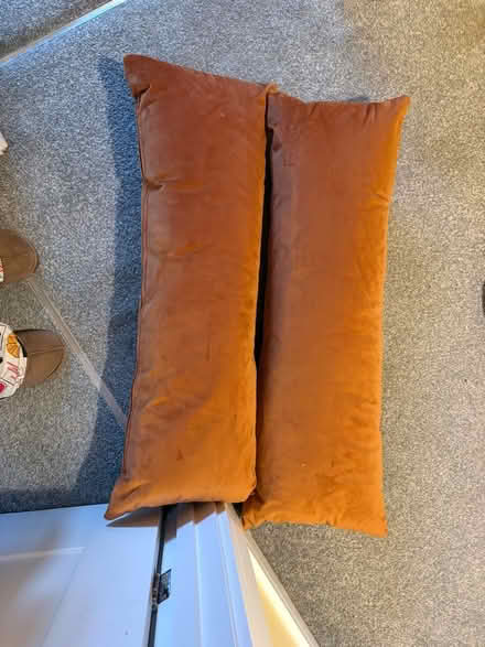 Photo of free Orange velvet cushions (Walkley S6) #1