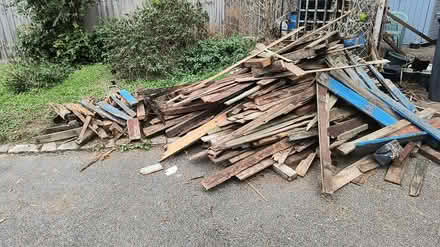 Photo of free Amount of Wood for Bonfire IP2 (Chantry IP2) #2