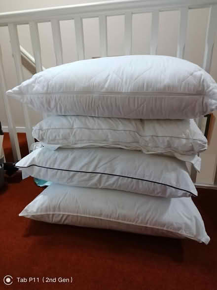 Photo of free Four bed pillows (Minster Lovell) #1