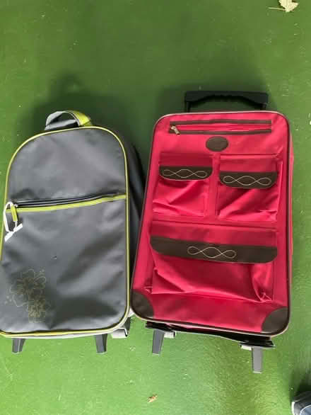 Photo of free 2x travel cases (St Albans AL3) #1