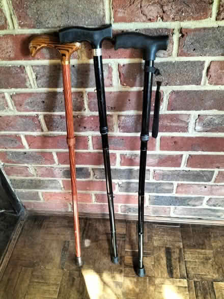 Photo of free Walking sticks (Stone Cross BN24) #1